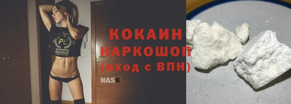 ПСИЛОЦИБИНОВЫЕ ГРИБЫ Каменка