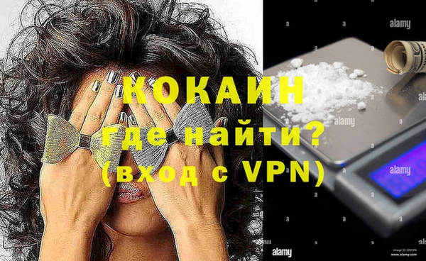 ПСИЛОЦИБИНОВЫЕ ГРИБЫ Каменка