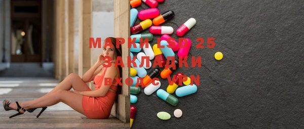 ПСИЛОЦИБИНОВЫЕ ГРИБЫ Каменка