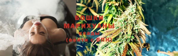 дмт Инсар